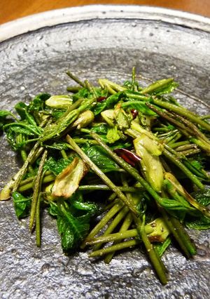 こしあぶらの油炒め（塩麹orナンプラー）-レシピのメイン写真