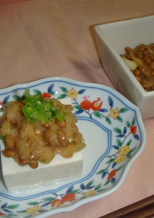 納豆嫌いな人も食べれる　納豆おろし豆腐-レシピのメイン写真