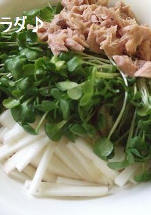切って混ぜるだけ♪長いもサラダ-レシピのメイン写真