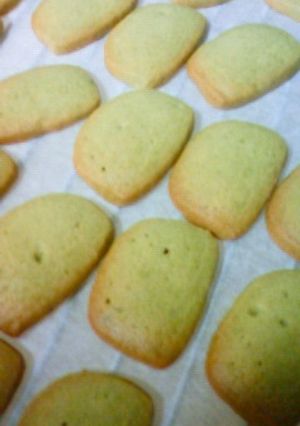抹茶のさくさくクッキー-レシピのメイン写真
