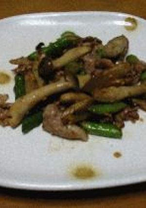 豚肉のキンピラ風炒め-レシピのメイン写真