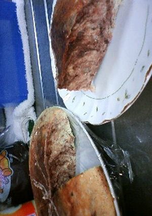 炊飯器でしっとりマーブルケーキ-レシピのメイン写真