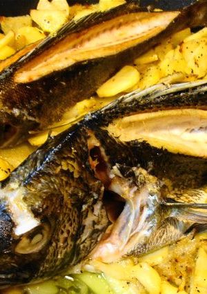 白身魚のオーブン焼き-レシピのメイン写真
