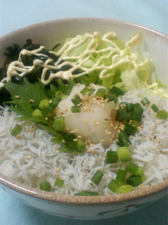 忘れられない☆しらす丼-レシピのメイン写真
