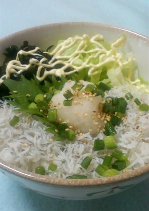 忘れられない☆しらす丼-レシピのメイン写真