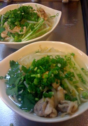 優しい味♪鶏肉とハーブ２０分フォーレシピ-レシピのメイン写真