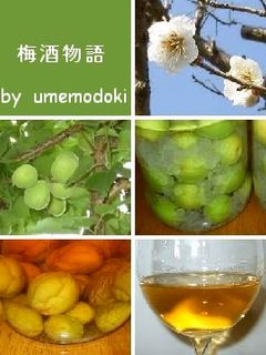 自家製★梅酒-レシピのメイン写真