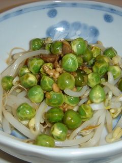 スナップえんどうともやしの和え物-レシピのメイン写真