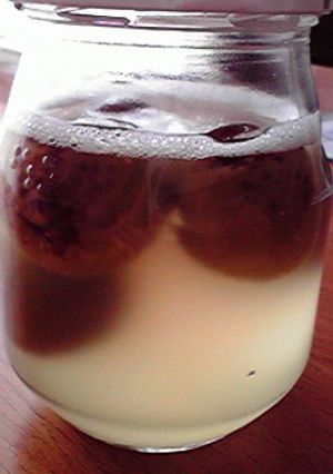 梅酒の梅で？自家製天然酵母-レシピのメイン写真