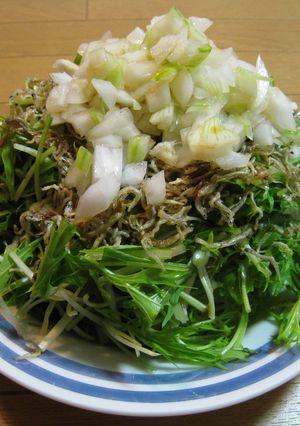 カリカリじゃこと水菜のシャキシャキサラダ-レシピのメイン写真