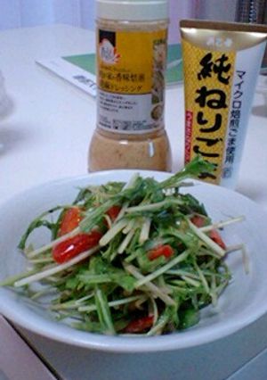 一工夫で美味しくなるごまベースサラダ☆-レシピのメイン写真