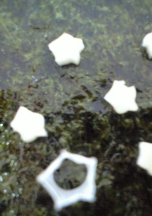 キャラ弁に☆ストローで小さな星-レシピのメイン写真