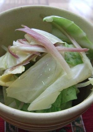 春キャベツとみょうがの浅漬け-レシピのメイン写真