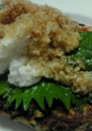 肉なし☆豆腐とおからのハンバーグ-レシピのメイン写真