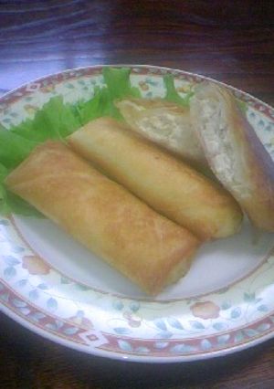 豆腐春巻き-レシピのメイン写真