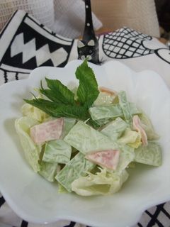 うどシリーズ うどとレタスのマヨサラダ-レシピのメイン写真