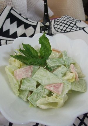 うどシリーズ　うどとレタスのマヨサラダ-レシピのメイン写真
