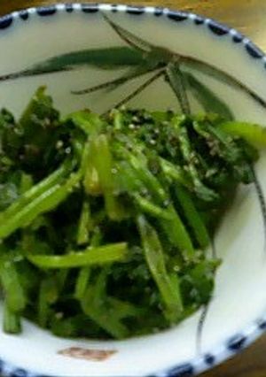 ほうれん草の黒ごま和え-レシピのメイン写真