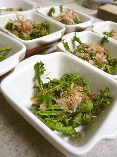 春の山菜 こごみのおひたし-レシピのメイン写真