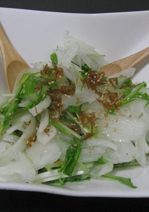 新玉ねぎと水菜のちりめん山椒サラダ-レシピのメイン写真