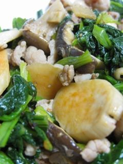 エリンギと青菜の豆板醤炒め-レシピのメイン写真