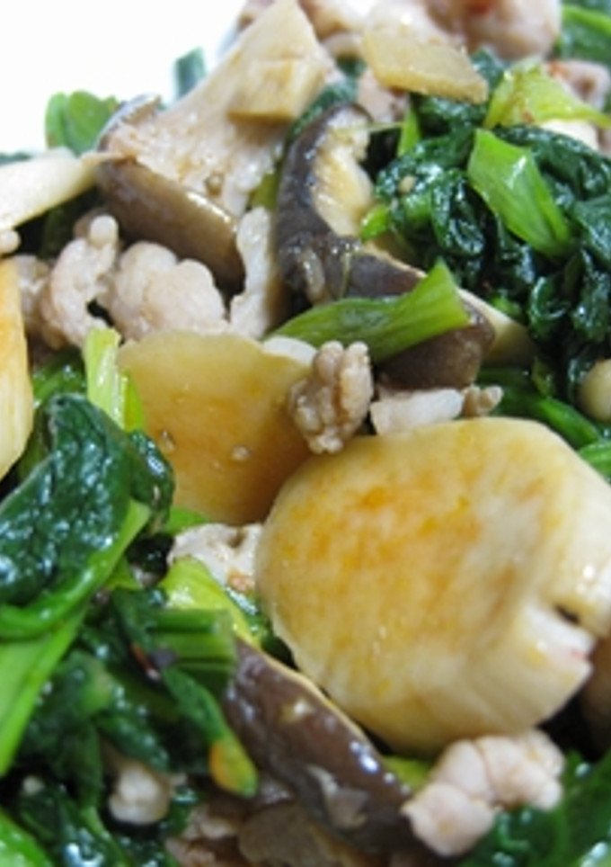 エリンギと青菜の豆板醤炒め-レシピのメイン写真