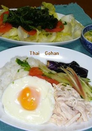 Thai風・カオ・マンガイ-レシピのメイン写真