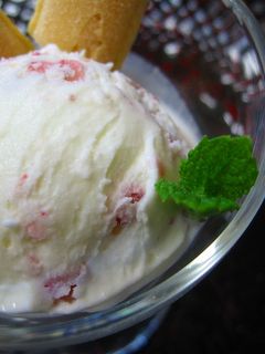 フローズンヨーグルトアイス-レシピのメイン写真