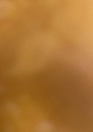 豚肉　にんにく　卵　無塩ver-レシピのメイン写真