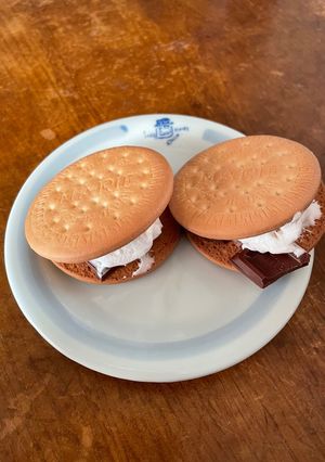 子供でも作れるスモア-レシピのメイン写真