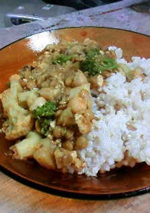 マメマメしいカレー-レシピのメイン写真