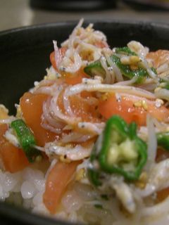 トマトとオクラのシラス丼-レシピのメイン写真