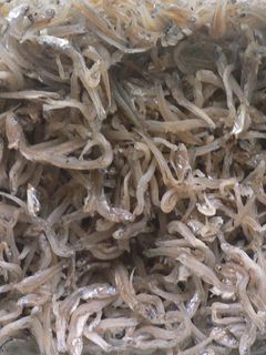 美味しい!手作りシラスの佃煮-レシピのメイン写真