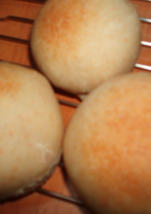 白神こだま酵母 de 全粒粉のプチパン-レシピのメイン写真