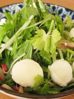 クセあり!水菜セロリみょうがサラダ-レシピのメイン写真
