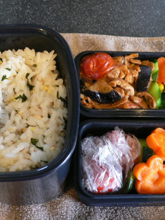 盛りだくさん◎豚肉とナスのトマト煮弁当-レシピのメイン写真