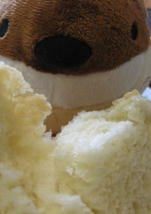 イタリアンgｒａｎｄｅ Ｆｏｃａｃｃｉａ-レシピのメイン写真