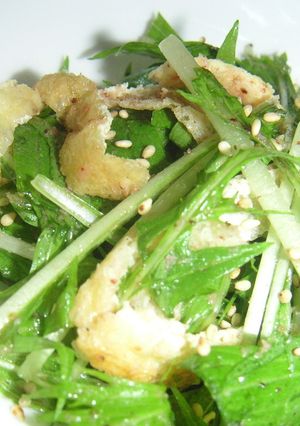 すぐできる水菜と油揚げの和風サラダ-レシピのメイン写真