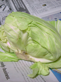 こんなものですが^^野菜の保存法-レシピのメイン写真