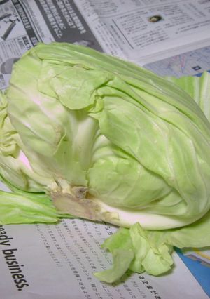 こんなものですが＾＾野菜の保存法-レシピのメイン写真