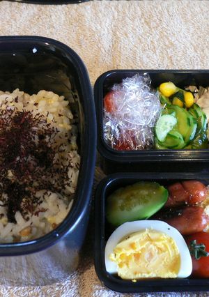 夫が喜ぶ◎ヘルシーおからグラタン弁当-レシピのメイン写真