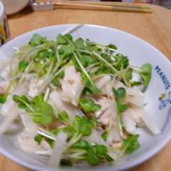 鶏ささみと大根のサラダ-レシピのメイン写真