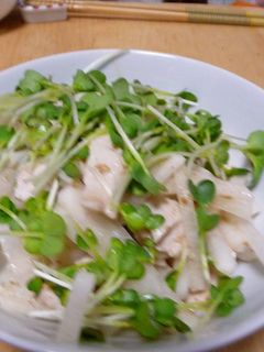 鶏ささみと大根のサラダ-レシピのメイン写真