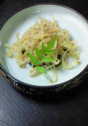 【シャキシャキ歯ごたえ　もやしナムル】-レシピのメイン写真