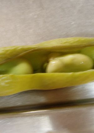 簡単そら豆の食べ方-レシピのメイン写真