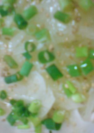 うまい！簡単！塩で食べるオニオンスライス-レシピのメイン写真