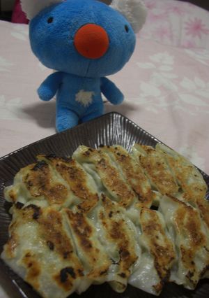手作り餃子☆-レシピのメイン写真