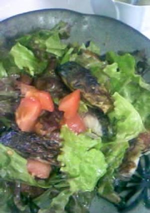 ☆サバと野菜のコラボ♪“サバラダ”☆-レシピのメイン写真