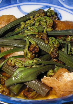 春の味覚！わらびの煮物-レシピのメイン写真