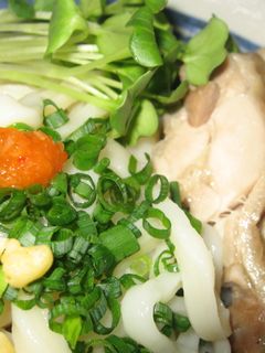 旨麺!冷やしうどん蒸し鶏添え-レシピのメイン写真